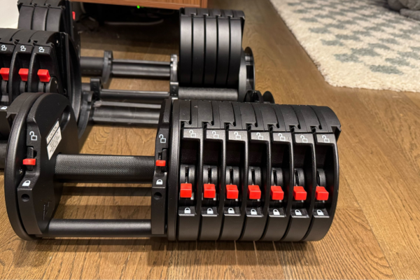 QuickDraw Add-On Weights Can Make Your Dumbbells Heavier, However They Scare Me