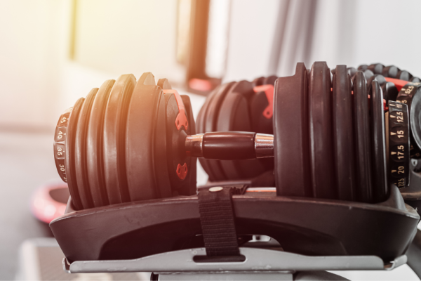Cease Utilizing These Recalled Bowflex Adjustable Dumbbells Now