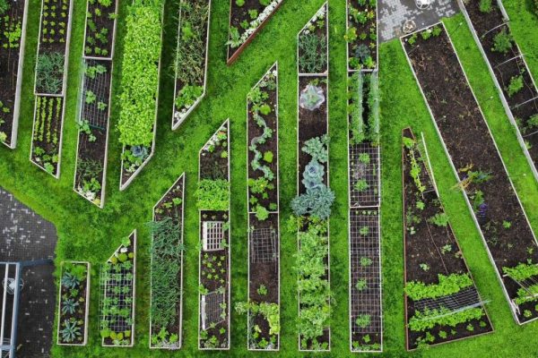 Easy methods to Create a Completely Laid-Out Backyard