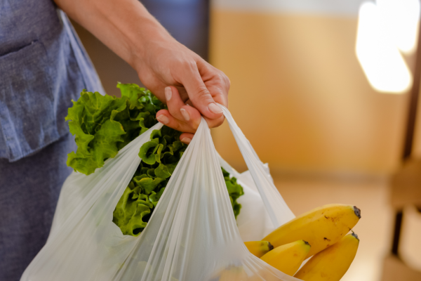 5 Methods to Make Carrying Groceries Up Stairs Simpler