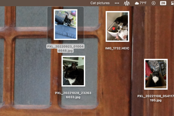 Infinidesk Is a Mac App That Lets You Create As Many Digital Desktops As You Need