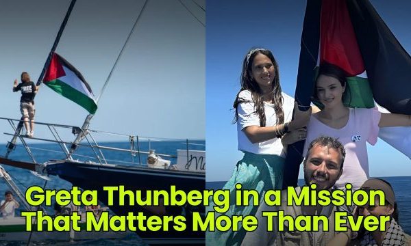 Greta Thunberg in a Mission That Issues Extra Than Ever • Dumb Little Man
