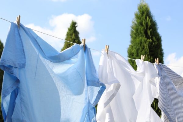 Eight Unlawful and Unenforceable Guidelines Your HOA Would possibly Attempt to Sneak Previous You