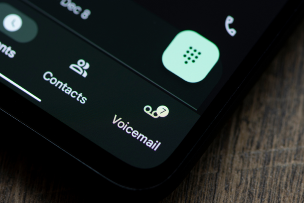 Android’s ‘Secret’ Telephone Data Web page Is Getting an Improve