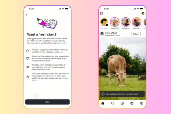 The way to Reset Your Instagram Algorithm and Begin Recent